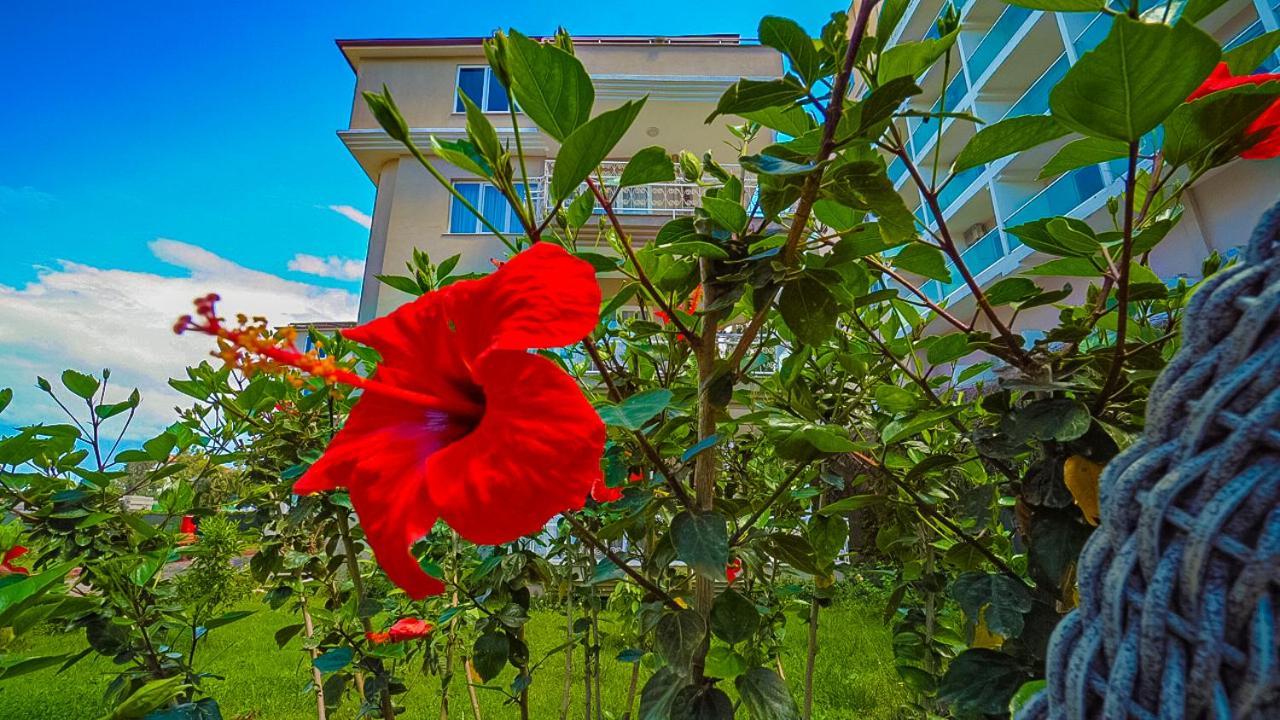 Club Wasa Holiday Village All Inclusive Toslak Exterior photo
