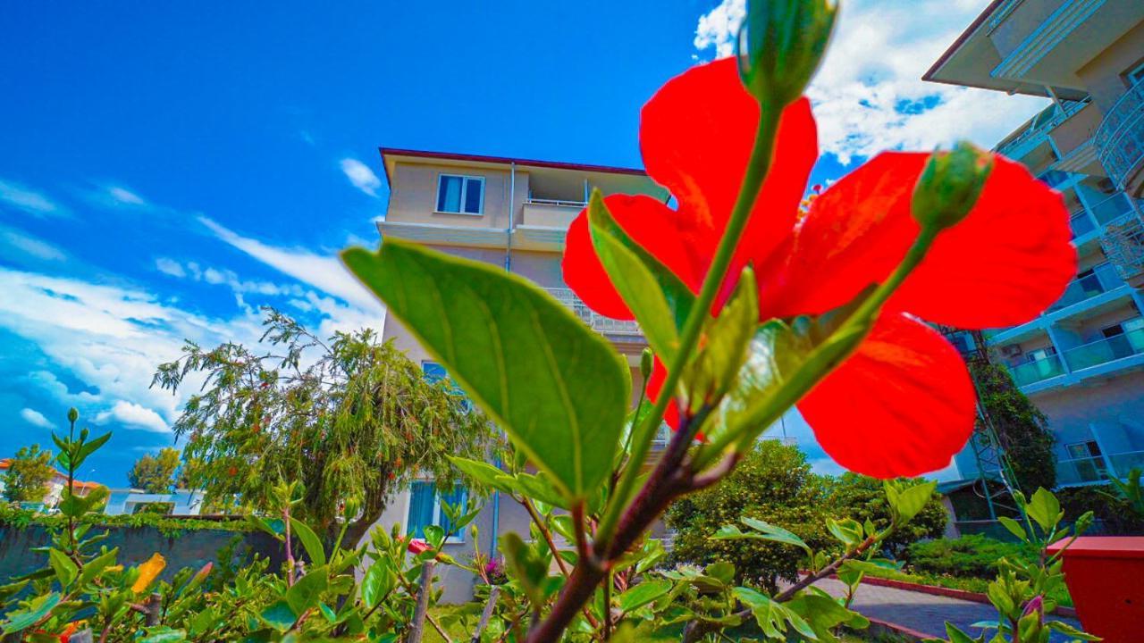 Club Wasa Holiday Village All Inclusive Toslak Exterior photo